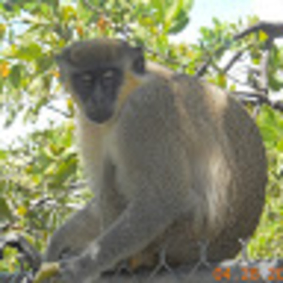 Meet your Posher, Linda - Picture 1 of 1